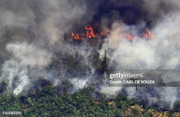 Aerial picture showing smoke from a two-kilometre-long stretch of fire billowing from the Amazon rainforest about 65 km from Porto Velho, in the...