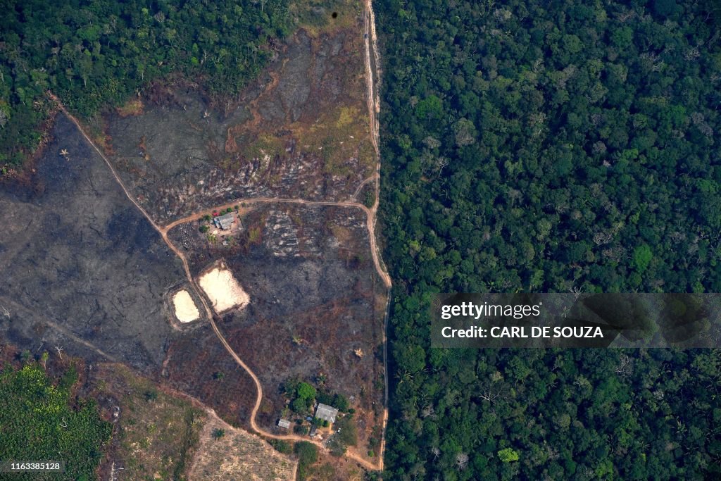 TOPSHOT-BRAZIL-AMAZON-DEFORESTATION