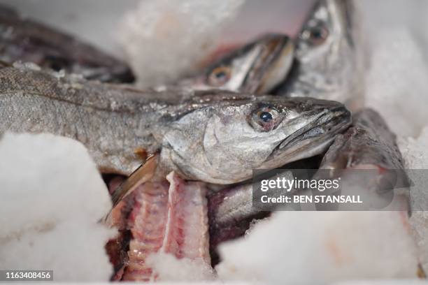 Hake Fish Roe What Is Hake Fish Photos and Premium High Res Pictures - Getty Images