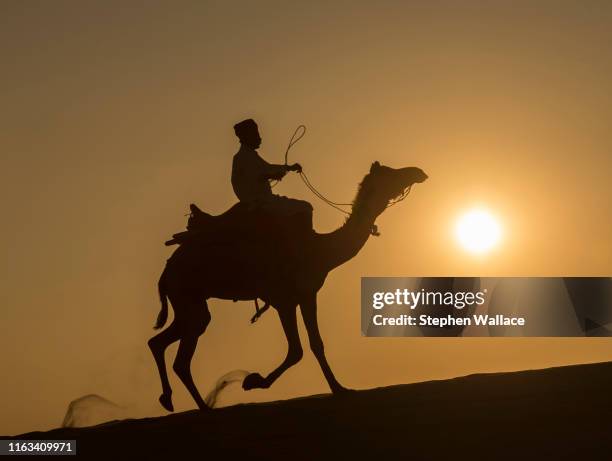 camel riden in the thar desert in rajasthan, india - riden stock pictures, royalty-free photos & images