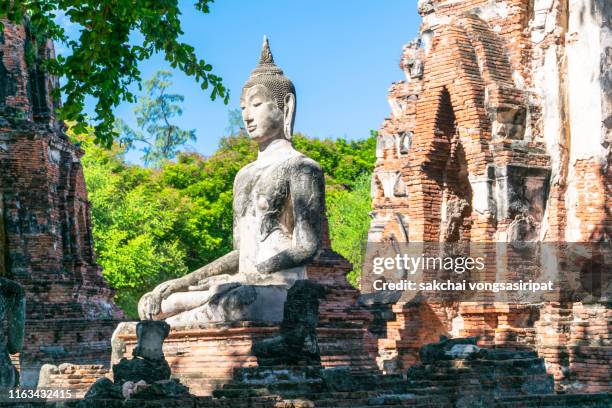 scenic view of buddha in ayutthaya historical park, thailand, asia - ayuthaya imagens e fotografias de stock