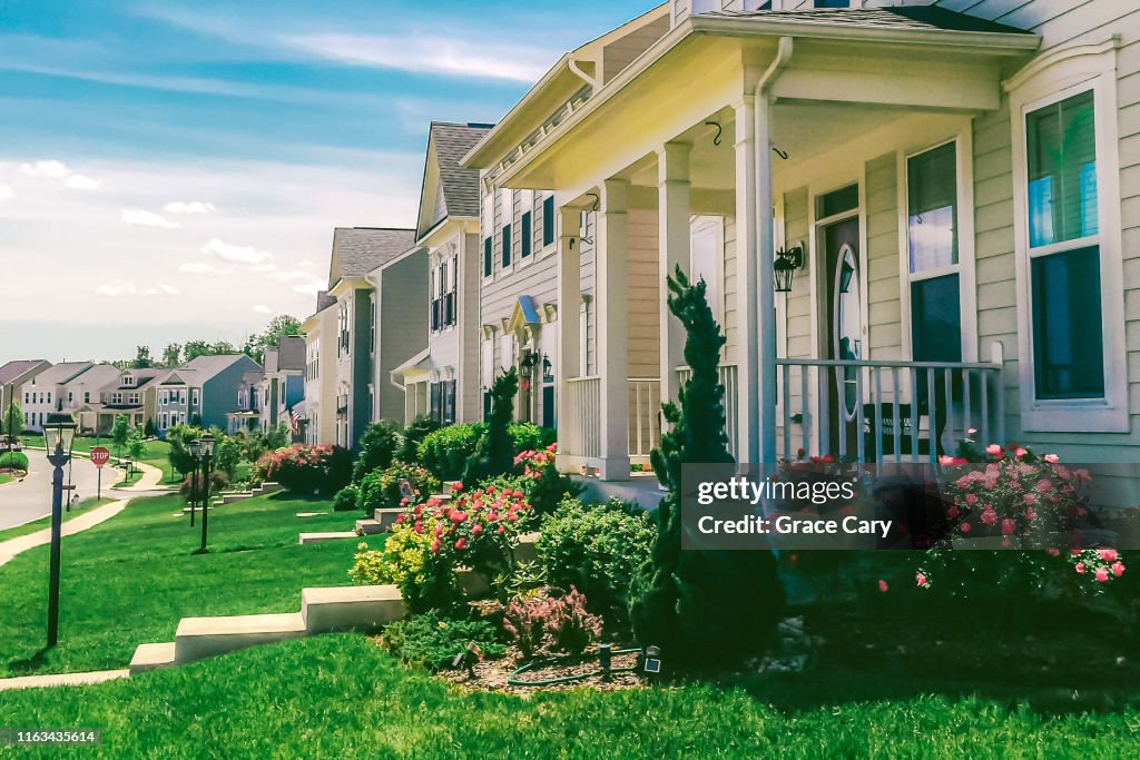 Row of Detached Homes in Idyllic Community