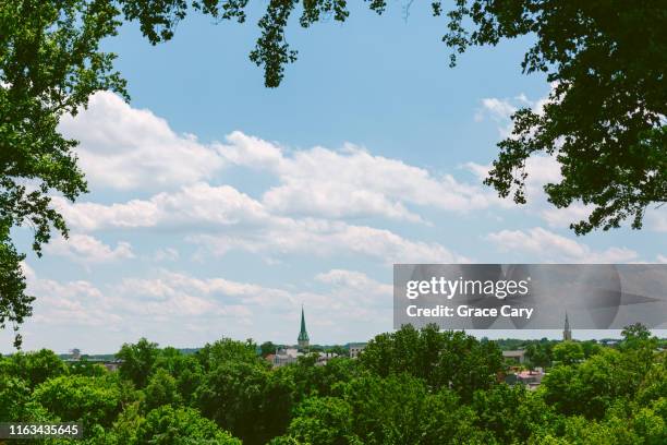 through the forest - fredericksburg photos et images de collection