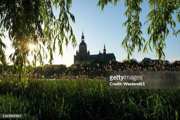 germany, stralsund, view to st mary's church at evening twilight - stralsund stock pictures, royalty-free photos & images