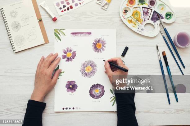 woman painting flowers with water colors, top view - a woman with paint stock-fotos und bilder