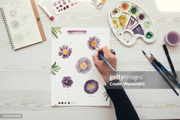 woman painting flowers with water colors, top view - manos pintadas fotografías e imágenes de stock