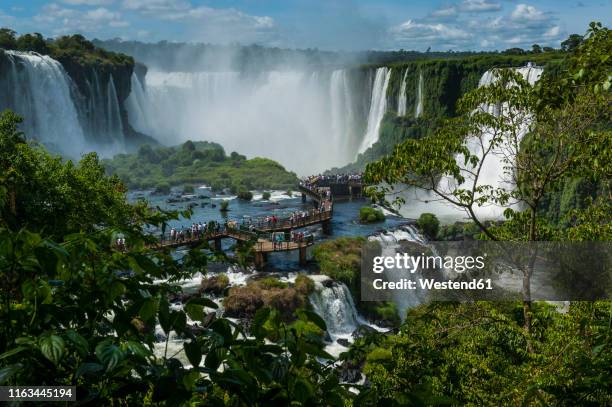unesco world heritage sight, iguazu falls, brazil - cataratas del iguazú fotografías e imágenes de stock