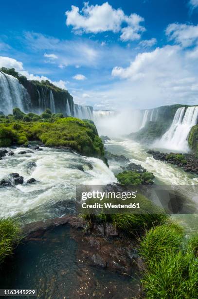 unesco world heritage sight, iguazu falls, brazil - cataratas del iguazú fotografías e imágenes de stock