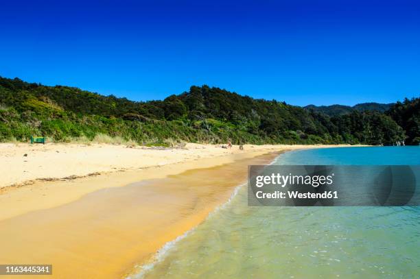 long sandy beach, abel tasman national park, south island, new zealand - tasman stock pictures, royalty-free photos & images