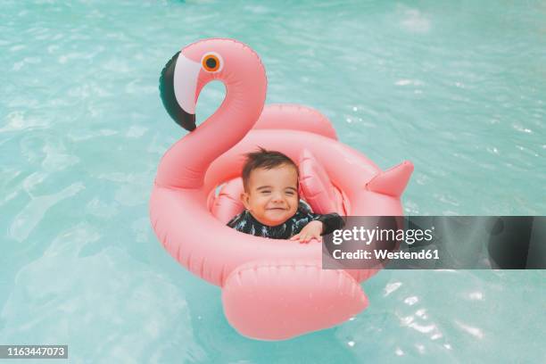 carefree baby boy in pink flamingo float in swimming pool - baby in the summer foto e immagini stock