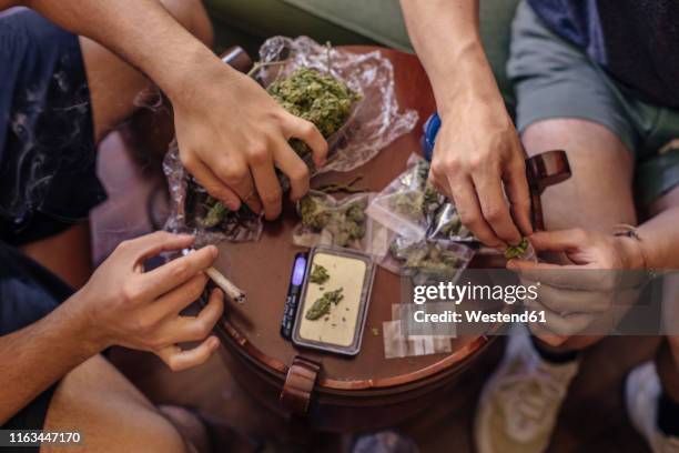 close-up of two men cleaning marijuana - joint body part stock-fotos und bilder