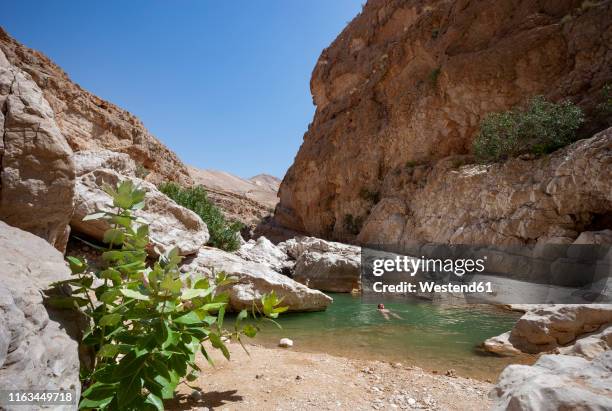 man swimming in a small lake at wadi bani khalid, oman - riverbed stock pictures, royalty-free photos & images