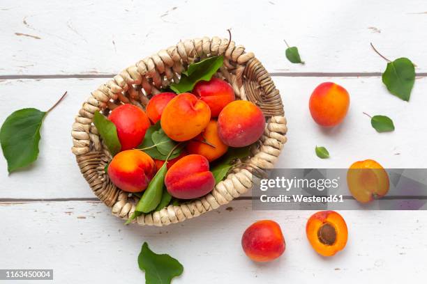 apricots in basket on white wood - aprikose stock-fotos und bilder