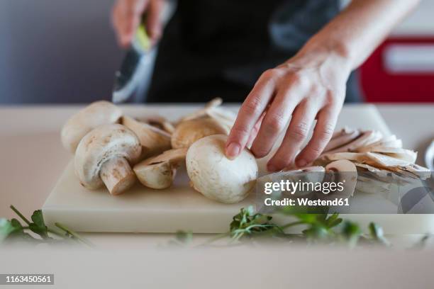 young woman's hands preparing champignons, close-up - mushroom fotografías e imágenes de stock