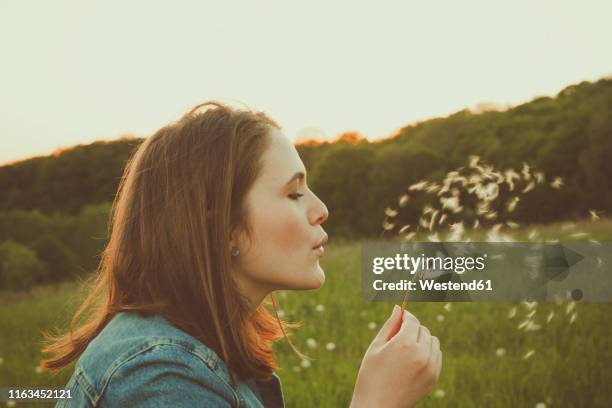 profile of teenage girl blowing blowball - dandelion blowing stock pictures, royalty-free photos & images