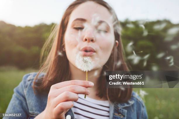 portrait of teenage girl blowing blowball - flying seed stock pictures, royalty-free photos & images