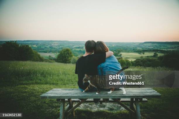 back view of young lovers with cat enjoying nature at sunset - girlfriend stock pictures, royalty-free photos & images