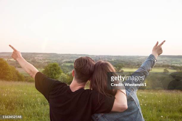 back view of happy young lovers in nature looking at view - minder verzadiging stockfoto's en -beelden