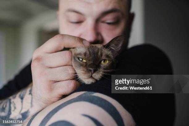 close-up of tattooed man cuddling burmese cat - burmese cat stock-fotos und bilder