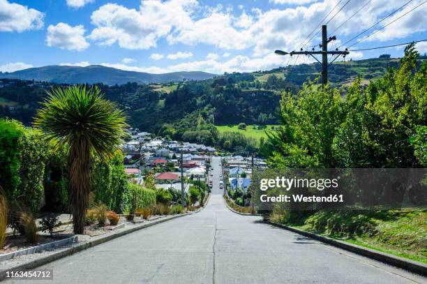 baldwin street, the world's steepest residential street, dunedin, south island, new zealand - dunedin stock pictures, royalty-free photos & images