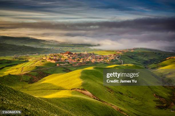 tibet landscape - adelaide foto e immagini stock