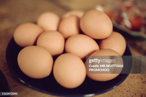 chicken eggs in a plate. - big cook stock pictures, royalty-free photos & images