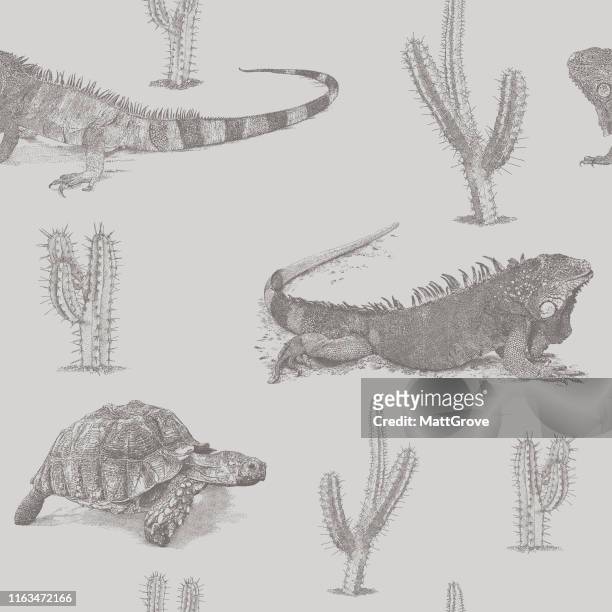 leguan, schildkröte, kaktus tonal repeat muster - galapagos land iguana stock-grafiken, -clipart, -cartoons und -symbole
