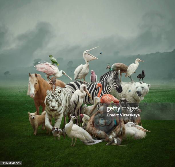 grote familie - dier stockfoto's en -beelden