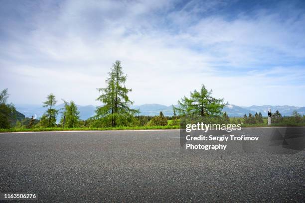 fir trees on roadside in summer day - roadside photos et images de collection
