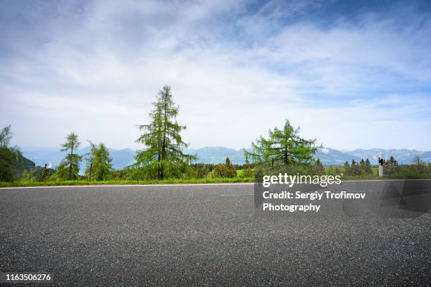 fir trees on roadside in summer day - roadside stock pictures, royalty-free photos & images