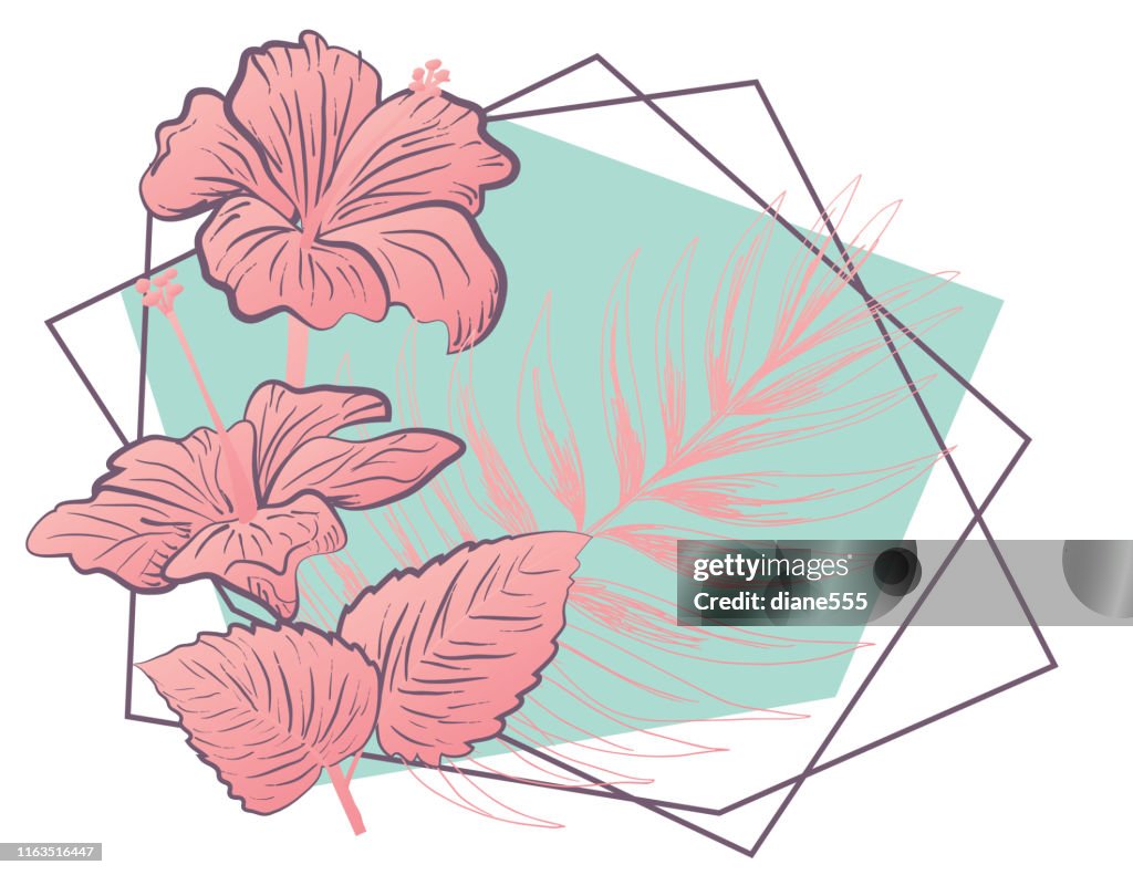 Dibujo Botánico Detallado De Flores Y Hojas De Hibiscus Ilustración de  stock - Getty Images