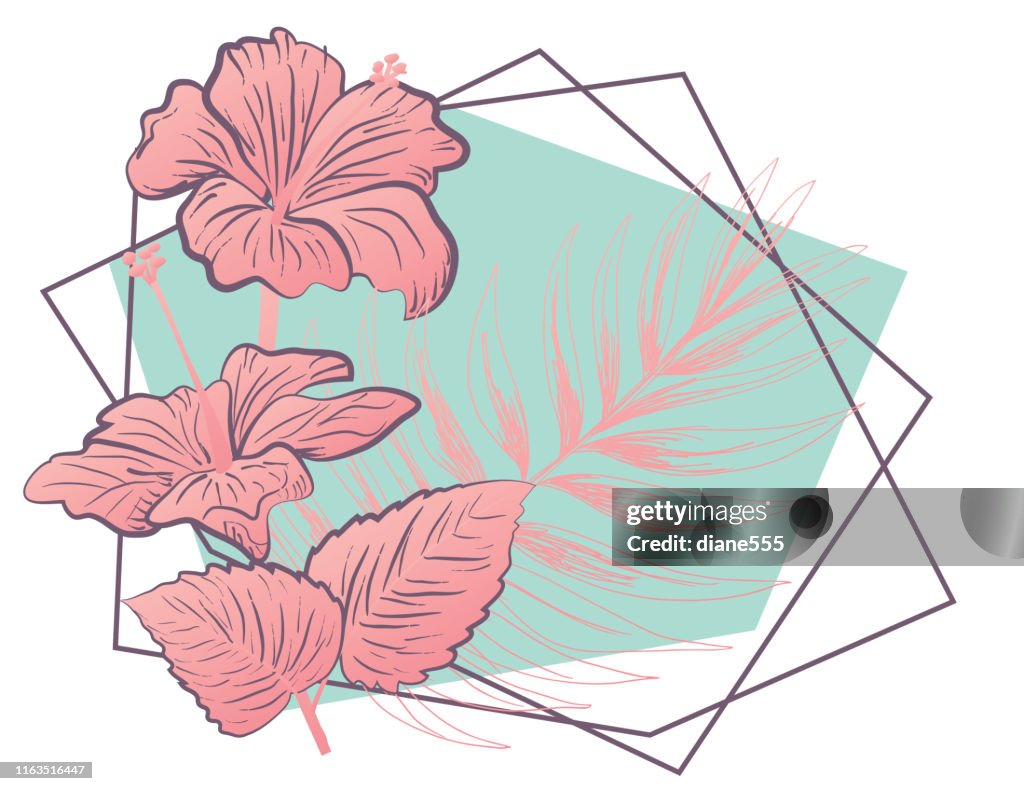 Dibujo Botánico Detallado De Flores Y Hojas De Hibiscus Ilustración de stock - Getty Images Dibujo Botánico Detallado De Flores Y Hojas De Hibiscus Ilustración de stock - Getty Images