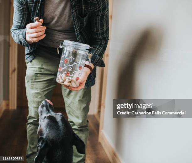dog licking lips - dog biscuit stock pictures, royalty-free photos & images