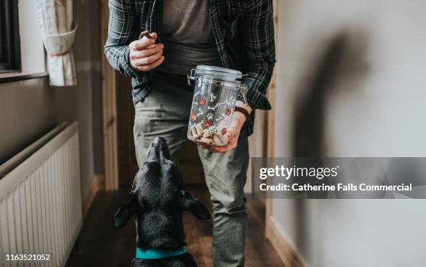 dog biscuits - croquette pour chien photos et images de collection