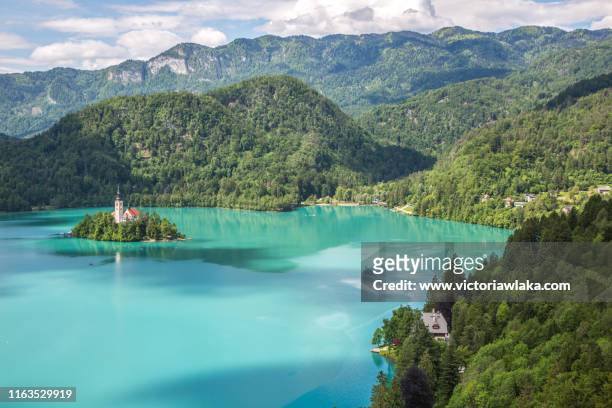 view on bled island from a hill - lago di bled foto e immagini stock