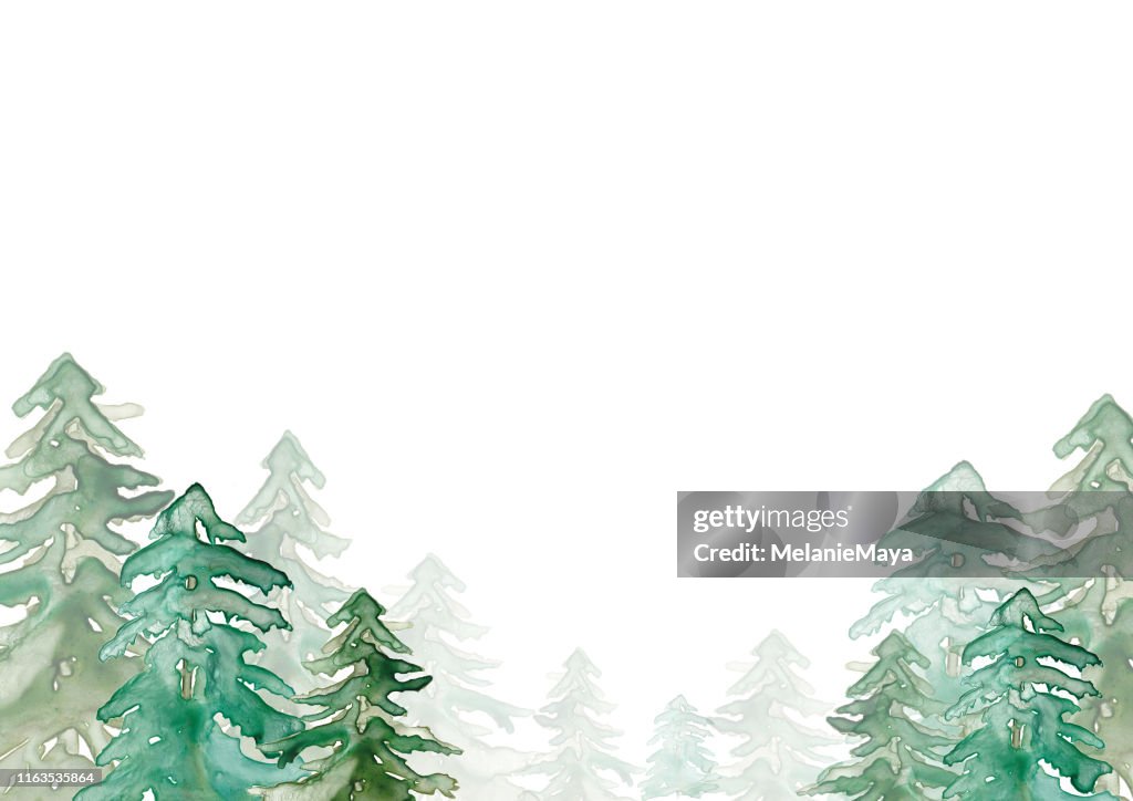 Ilustración del bosque de acuarela
