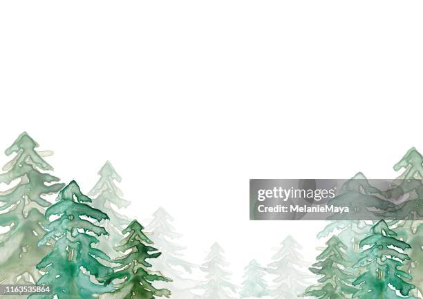 ilustraciones, imágenes clip art, dibujos animados e iconos de stock de ilustración del bosque de acuarela - árbol de hoja perenne