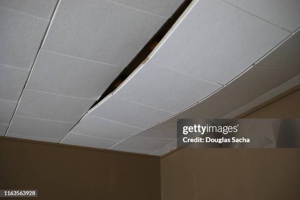 ceiling tile falling from the roof - kiefer sutherland signs copies of down in a hole stockfoto's en -beelden