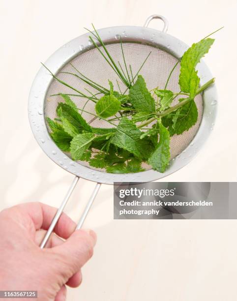 herbs - fines herbes stock-fotos und bilder