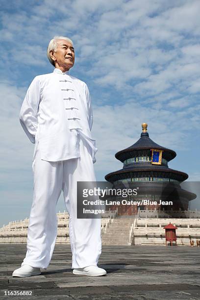 senior man practicing tai chi, temple of heaven - chinese martial arts stock pictures, royalty-free photos & images