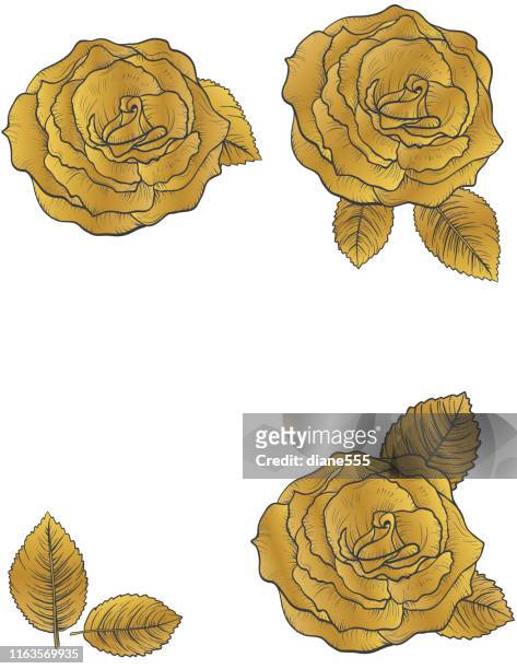 金と黒のバラの植物画 - rose gold点のイラスト素材／クリップアート素材／マンガ素材／アイコン素材