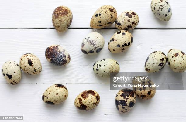 quail eggs on a wooden boards. easter holiday background. - huevo de codorniz fotografías e imágenes de stock