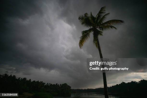 rain clouds  during monsoon season kerala india - india rain stock pictures, royalty-free photos & images