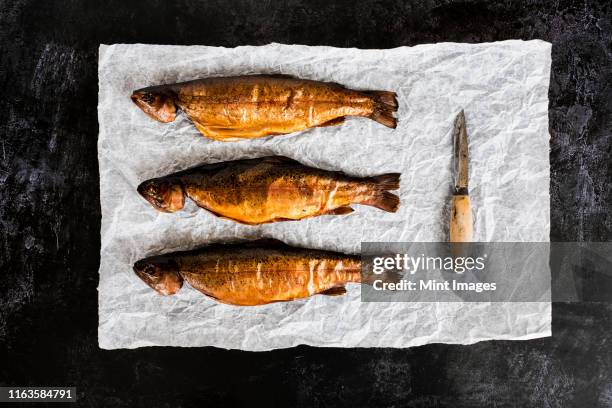 high angle close up of three freshly smoked whole trout and a knife on a white paper. - lebensmittel trocknen stock-fotos und bilder