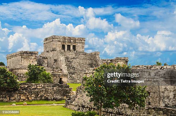 mexico, tulum, ancient ruins - tulum ストックフォトと画像