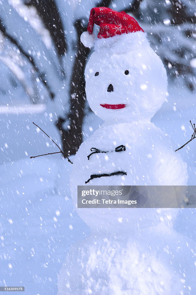 USA, New York, New York City, snowman in snowflakes