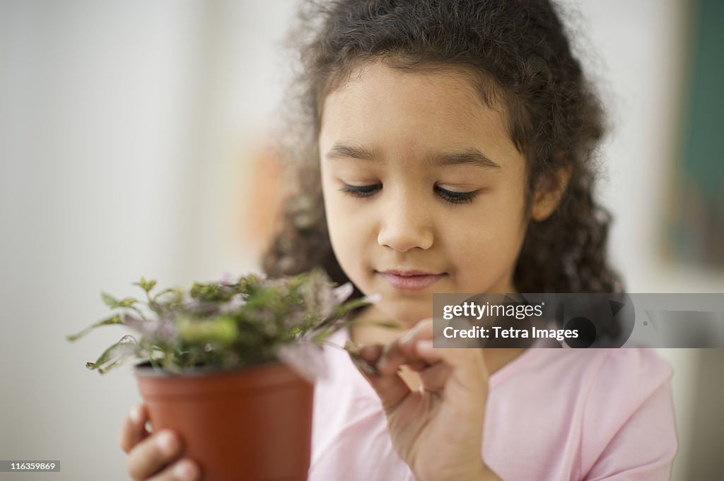 USA, New Jersey, Jersey City, portrait of girl (6-7) holding potted plant