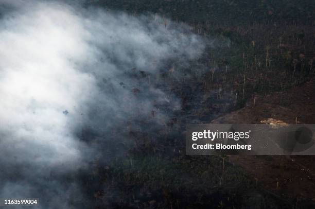 Cattle graze on a deforested area as smoke rises from a fire in the Amazon rainforest in this aerial photograph taken above the Candeias do Jamari...
