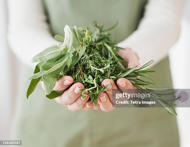woman holding herbs - herb stockfoto's en -beelden