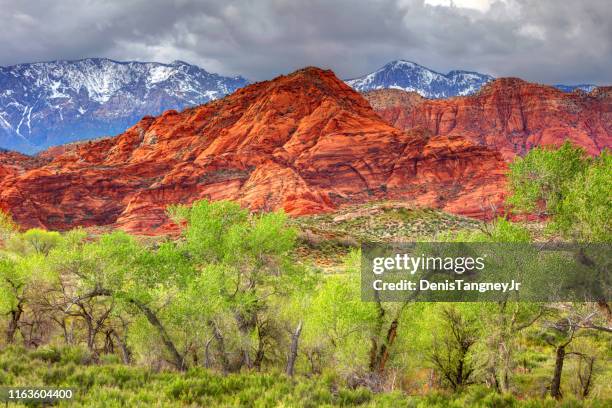 red cliffs recreation area cerca de st. george - saint george fotografías e imágenes de stock